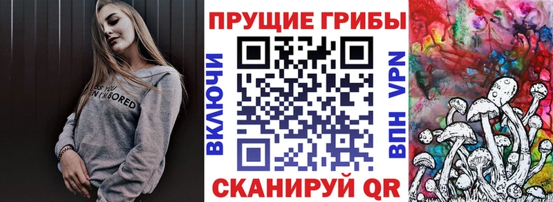 Галлюциногенные грибы Psilocybine cubensis  магазин    Меленки 